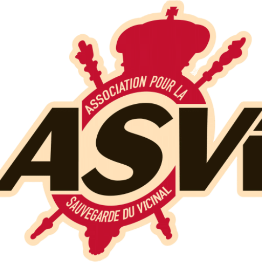 Logo ASVI